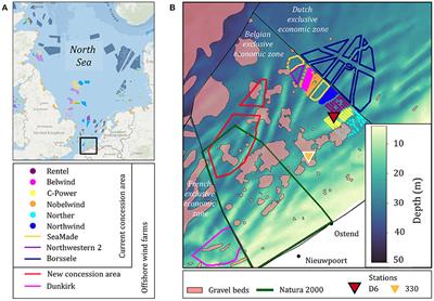 Offshore Wind Farm Footprint on Organic and Mineral Particle Flux to the Bottom